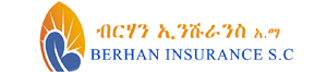 Berhan Insurance S.C | Best Insurance Company in Ethiopia